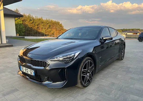 kia wielkopolskie Kia Stinger cena 157000 przebieg: 6200, rok produkcji 2022 z Turek